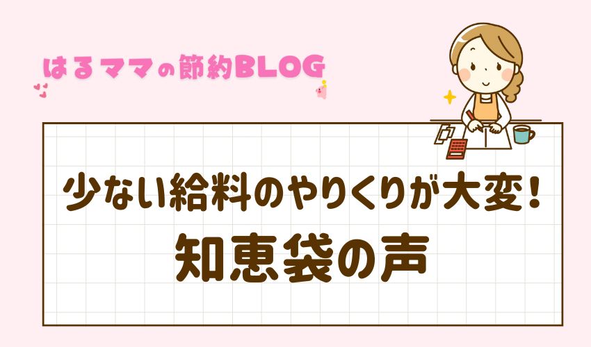 少ない給料のやりくりが大変！知恵袋の声